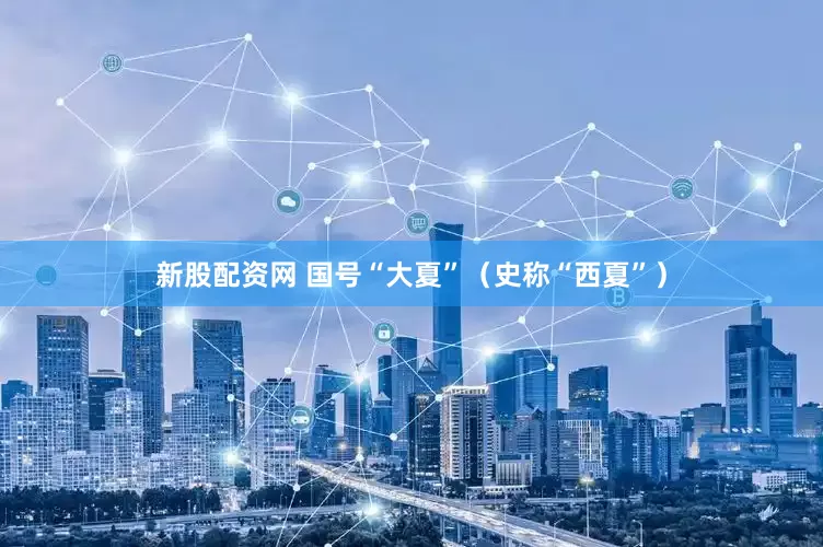 新股配资网 国号“大夏”（史称“西夏”）
