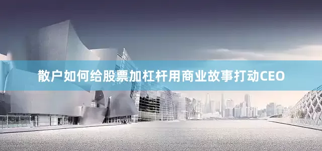 散户如何给股票加杠杆用商业故事打动CEO